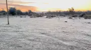 Frio intenso e geada marcam terça-feira no Rio Grande do Sul