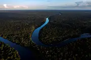 Fundo Amazônia quadruplica aprovações e atrai nove doadores internacionais em 2023