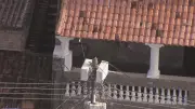 Gato preso em poste mobiliza moradores na Pavuna, Rio