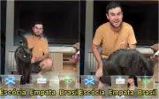 Gato 'vidente' Milu aposta em nova vitória do Brasil contra a Escócia
