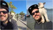 Gato viraliza ao passear de bicicleta com tutor em Florianópolis