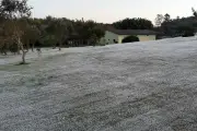 Geada atinge 12 cidades de MS; menor temperatura é 1°C em Iguatemi