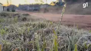 Geada e temperaturas negativas marcam amanhecer no Rio Grande do Sul