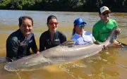 Goiás amplia lista de peixes exóticos permitidos na pesca; veja novas regras