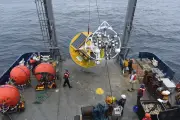 Governo Trump quer eliminar sistema de observação dos oceanos crucial para clima