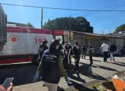 Granada é encontrada em casa de idosa com 14 cães no Rio