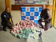 Grande apreensão de drogas em casa abandonada em Barra do Piraí