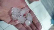 Granizo cobre bairros de Uberlândia e derruba árvore