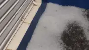 Granizo e ventos fortes causam destruição em Uberlândia