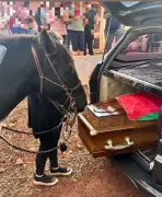 Égua se despede do dono durante velório no interior do RS