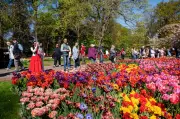 Holanda: turismo pela cor laranja e atrações imperdíveis