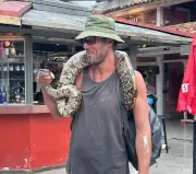 Homem carrega jiboia no pescoço em Búzios para resgatar animal