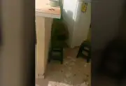 Homem destelha casa, cai na cozinha e se esconde de supostos perseguidores no TO