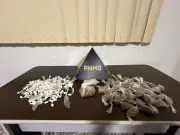 Homem e dois adolescentes detidos por tráfico de drogas em Conselheiro Pena