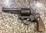 Homem esconde arma na casinha do cachorro e é preso em Boa Vista