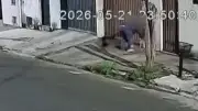 Homem é indiciado por dar chineladas em cachorro em Araxá