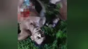 Homem morre esfaqueado em praça pública em Belterra, no oeste do Pará