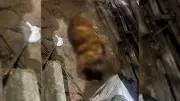 Homem é preso no Amapá suspeito de matar cachorro que atacou filho