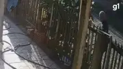 Homem é preso por agredir cachorro com madeira em Balneário Pinhal