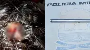 Homem é preso por agredir companheira com barra de ferro em Pio IX; 3º caso em 36h