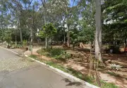 Homem suspeito de fotografar bebês sem autorização é detido em SP