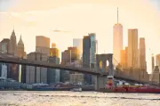 Hospedagem grátis em Nova York trocada por cuidados com pets e casas