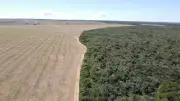 Ibama multa em R$ 2,2 mi e apreende 20 ton de soja irregular em Tianguá