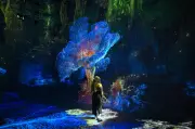 Imersão sensorial na Amazônia chega a museu de LA com IA