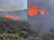 Incêndio atinge 1.000 m² de vegetação em Arraial do Cabo, RJ