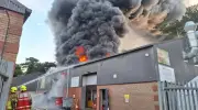 Incêndio destrói zoológico na Inglaterra e mata todos os animais