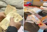 Influenciadora tem bens bloqueados por jogos ilegais e lavagem de dinheiro
