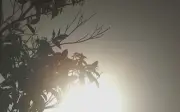 Inverno 2026: Frio intenso e chuvas chegam a Ribeirão Preto