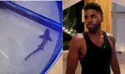 Jason Derulo é criticado por aquário com tubarões no chão de mansão
