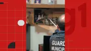 Jiboia invade casa em Vila Velha e é resgatada pela Guarda Municipal