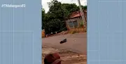 Jovem de 19 anos é encontrada morta a tiros em Palmas
