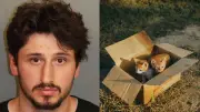 Jovem preso nos EUA por jogar filhotes de gato de carro em movimento