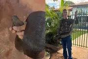 Jovem resgata jiboia de 2 metros perto de escola em Jardim (MS)