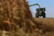 JPMorgan vê riscos climáticos no agro e recomenda 3tentos sobre SLC