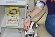 Junho Vermelho: campanha incentiva doação de sangue no Tocantins