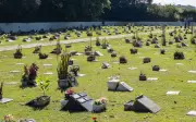 Lei autoriza sepultamento de pets em Macaé e impulsiona procura por jazigos