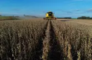 Leilões de fazendas disparam no Brasil com inadimplência recorde no campo