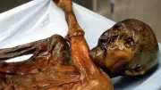 Levedura de múmia Ötzi é usada para fazer pão após 5.300 anos