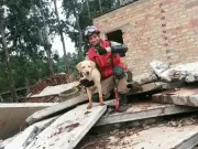 Mato Grosso sedia certificação nacional de cães de busca e resgate
