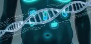 Medicina metabólica orienta emagrecimento sustentável com foco individual