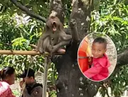 Menino morre após macaco de estimação perfurar seu pulmão na Tailândia