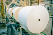 Mercado de celulose: ciclos distintos entre regiões e pressão na China