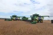 Milho e soja impulsionam recorde agrícola no Tocantins