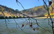 Monte Verde amanhece com 1,3°C e geada na Serra da Mantiqueira