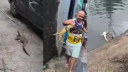Morador vira 'domador de jacarés' no Recife e resgata filhotes
