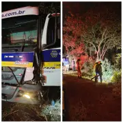 Motociclista morre ao bater de frente com caminhão na BR-365
